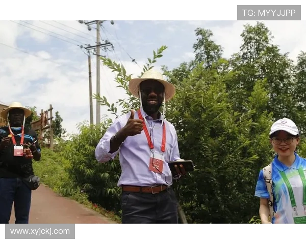 专访杨军：探寻英雄联盟背后的成功秘诀与未来发展方向